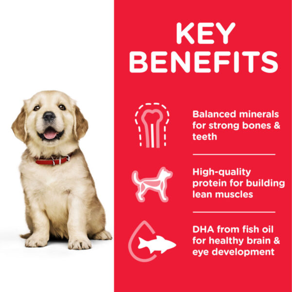 Hill’s Science Plan Large Breed Puppy Food With Chicken (16kg) - Image 2