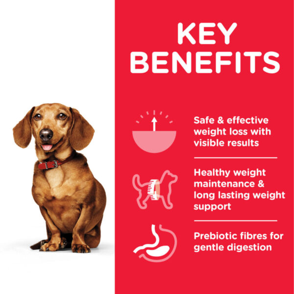 Hill's Science Plan Perfect Weight Small & Mini Adult Dog Food with Chicken (1.5kg) - Image 3