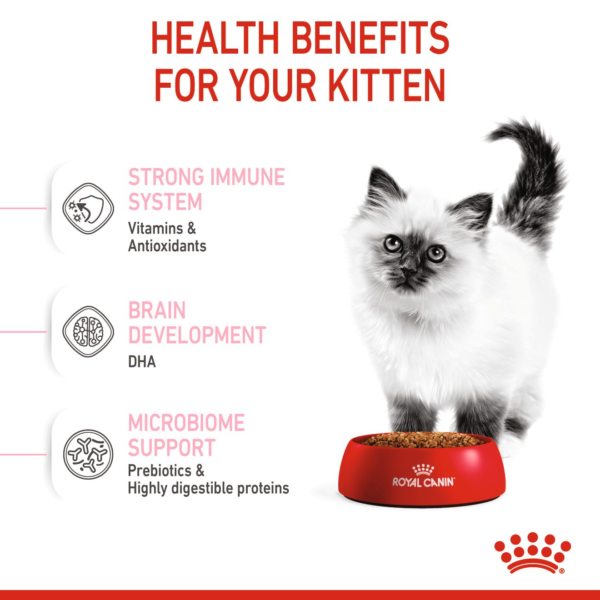 Royal Canin Feline Health Nutrition Kitten Dry Food health benefits