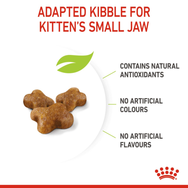 Royal Canin Feline Health Nutrition Kitten Dry Food kibble