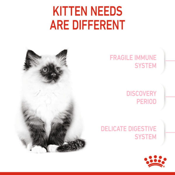 Royal Canin Feline Health Nutrition Kitten Dry Food (2kg) - Image 3