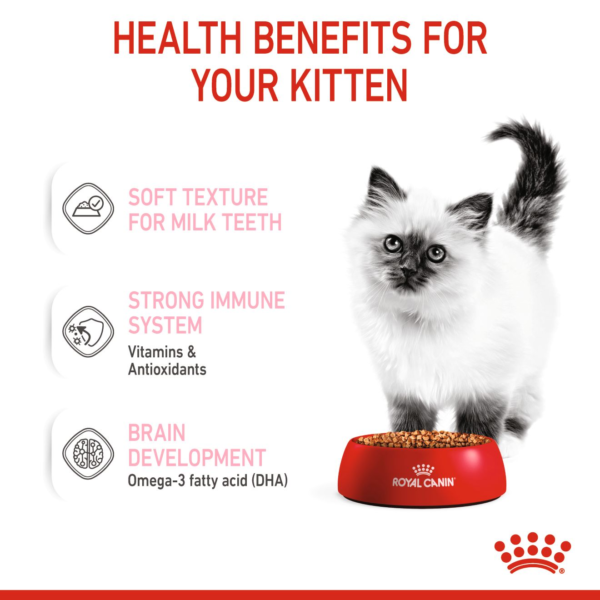 Royal Canin Feline Health Nutrition Kitten Wet Food Gravy (85g) - Image 4