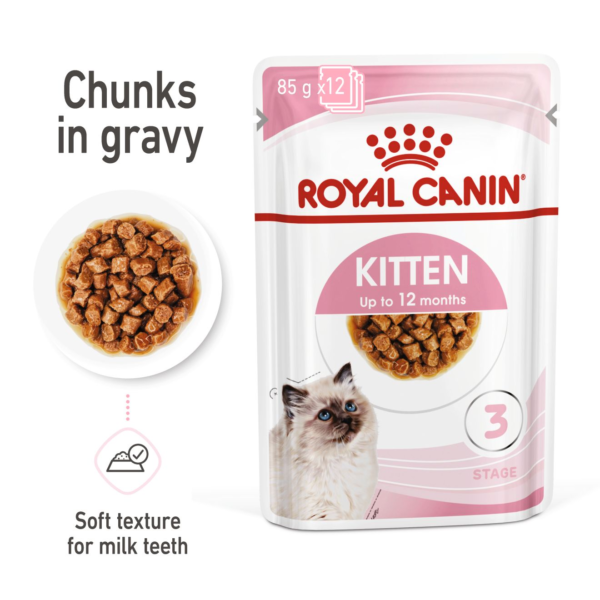 Royal Canin Feline Health Nutrition Kitten Wet Food Gravy chunks