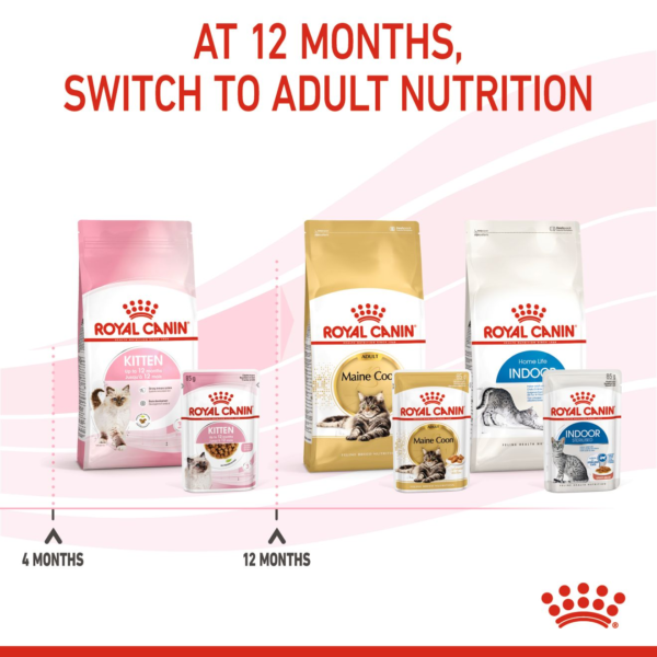Royal Canin Feline Health Nutrition Kitten Wet Food Gravy (85g) - Image 7