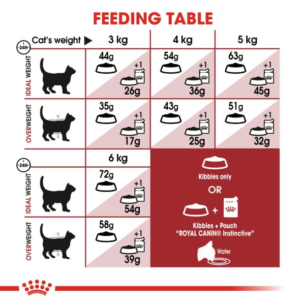 Royal Canin Feline Health Nutrition Regular Fit 32 Adult Cat Dry Food 2kg (Best before 2026/05/03) - Image 5