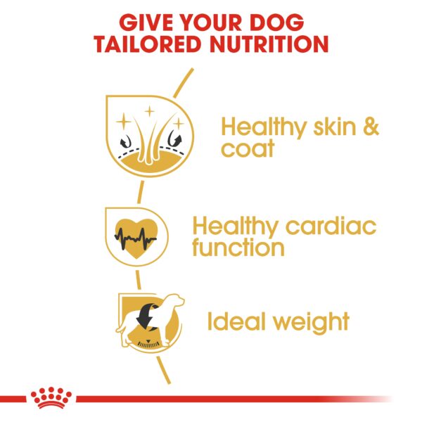 Royal Canin Golden Retriever Adult Dry Dog Food Nutrition