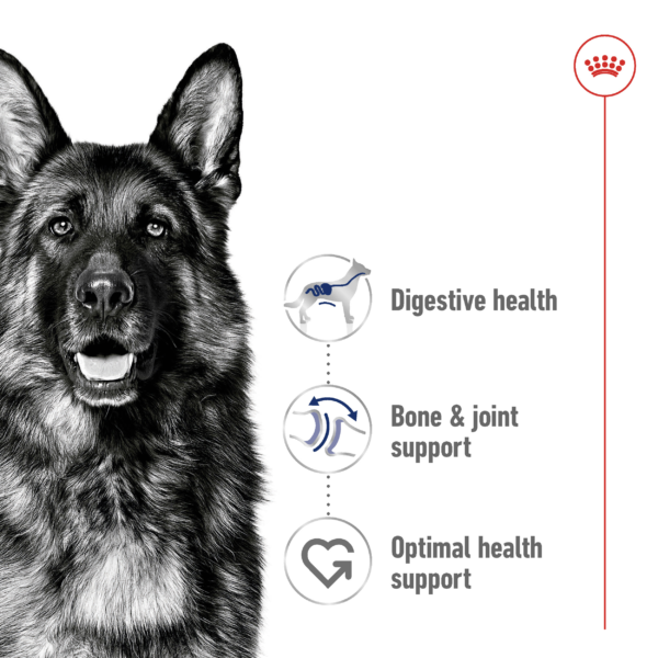 Royal Canin Size Health Nutrition Maxi Adult Large Dog Dry Food benefits