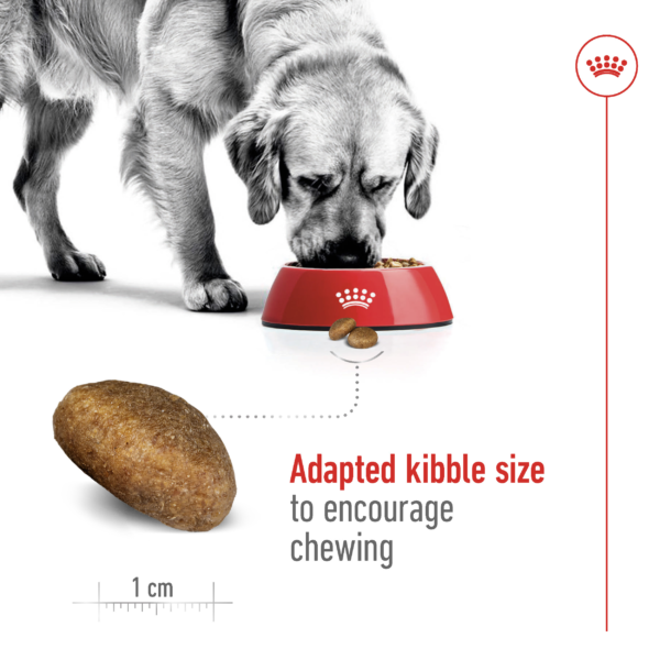 Royal Canin Size Health Nutrition Maxi Adult Large Dog Dry Food kibble
