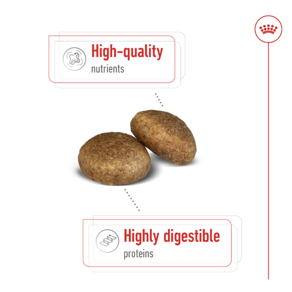 Royal Canin Size Health Nutrition Maxi Adult Large Dog Dry Food (15kg) - Image 5