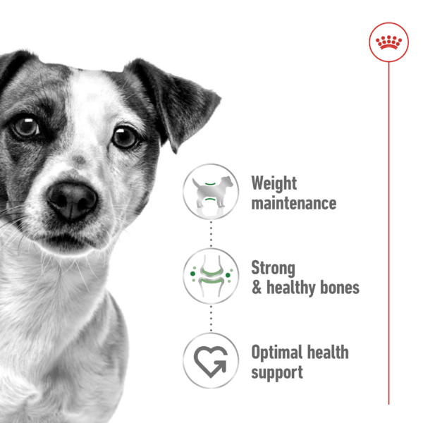 Royal Canin Size Health Nutrition Mini Adult benefits