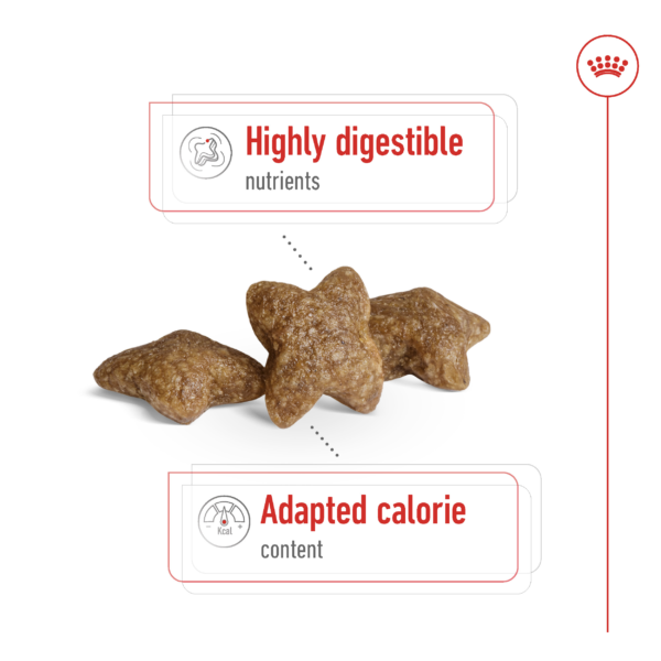 Royal Canin Mini Adult Dog Dry Food (2kg / 8kg) - Image 5