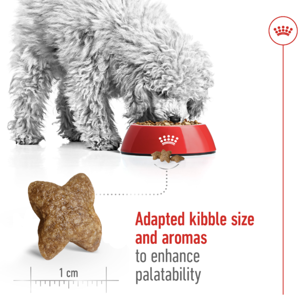 Royal Canin Size Health Nutrition Mini Adult kibble