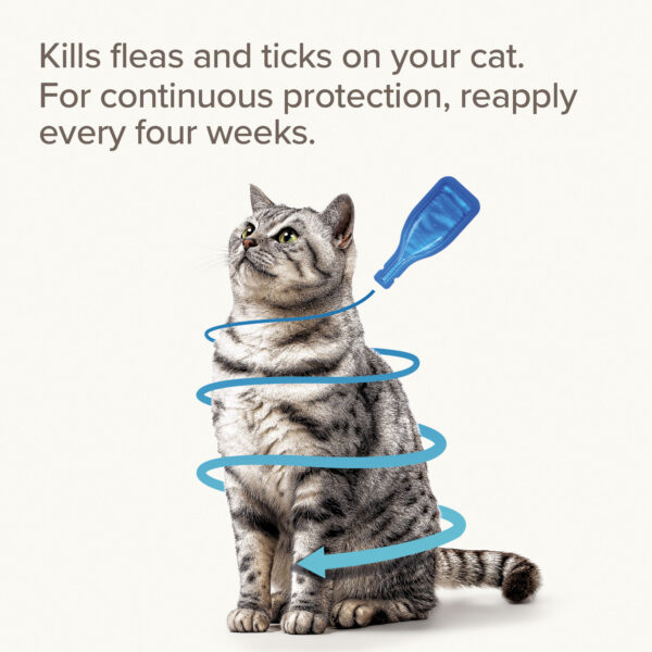 Beaphar FIPROtec® Spot On Cat for fleas and ticks treatment (4 vials per box) - Image 3