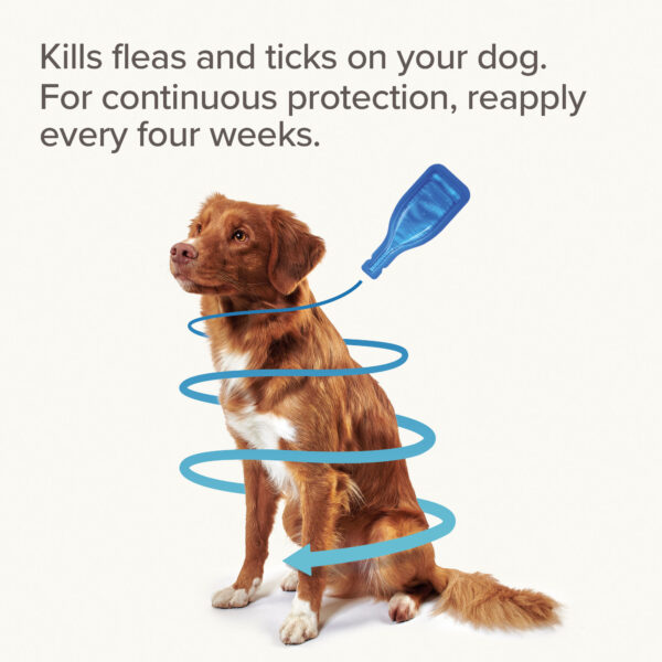 beaphar FIPROtec Spot On Dog protection