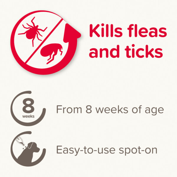 beaphar FIPROtec Spot On Small Dog fleas ticks