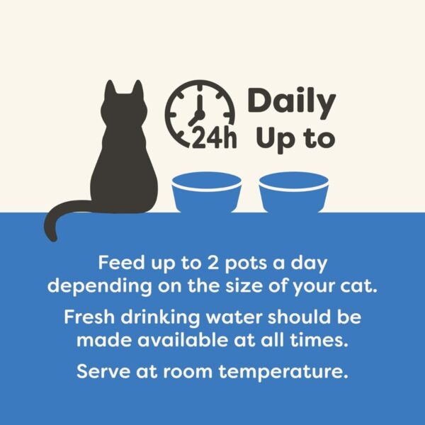 Applaws Natural Wet Cat Food Fish Selection in Broth Multipack (8 x 60g) - Image 5