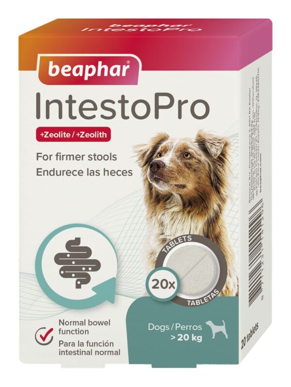 Beaphar IntestoPro Anti Diarrhea Tablets Large Dog 20 tablets