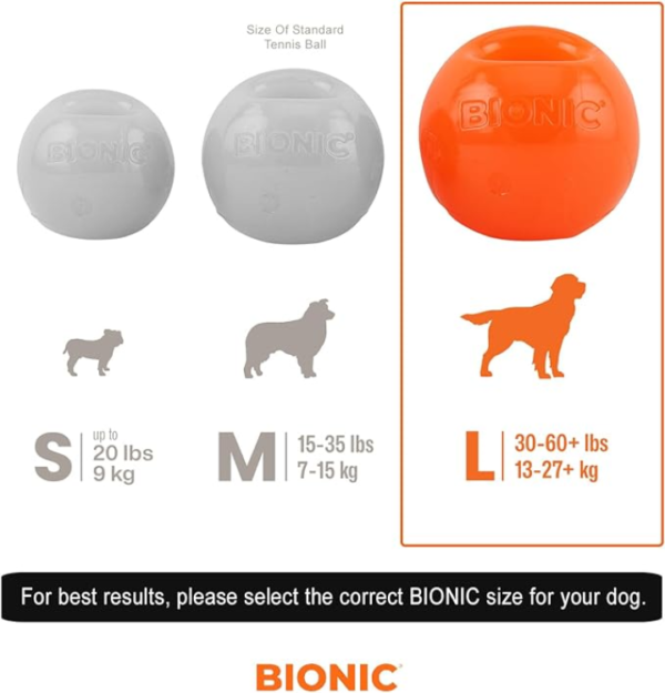 BIONIC Ball for Large Dogs