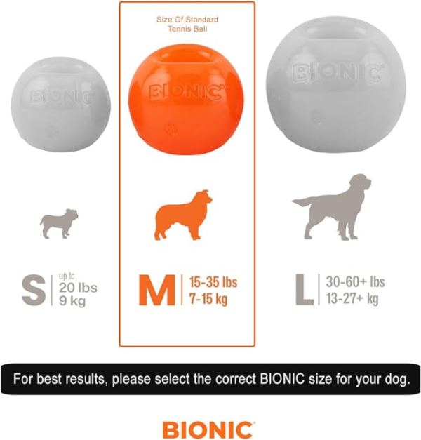 BIONIC Ball for Medium Dogs 6.7cm - Image 4
