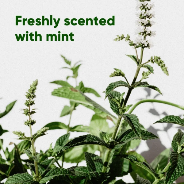 Beco Large Poop Bags Mint Scented