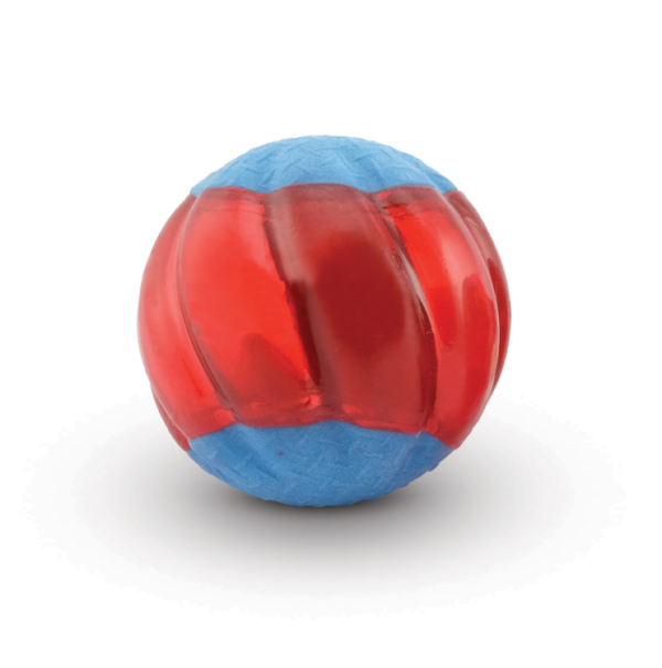 Zeus Duo Ball for Dogs Large size 6.3cm - pack of 2 balls - Image 2