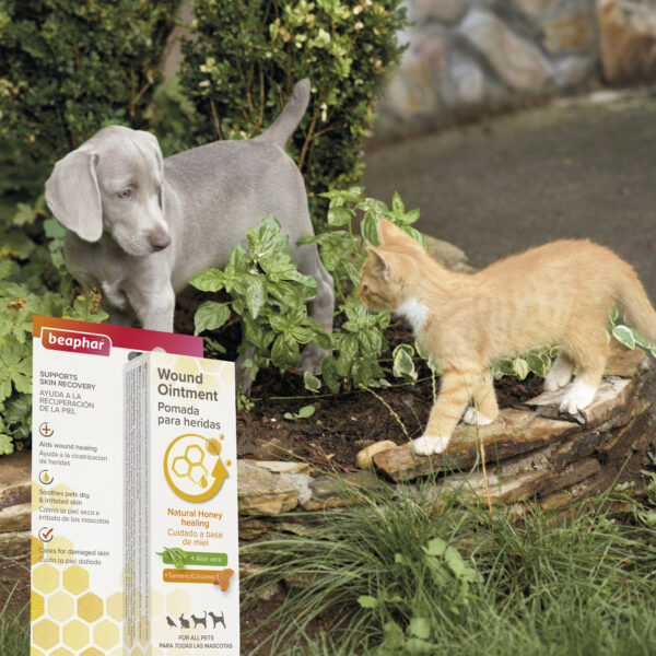Beaphar Wound Ointment 30ml cats dogs
