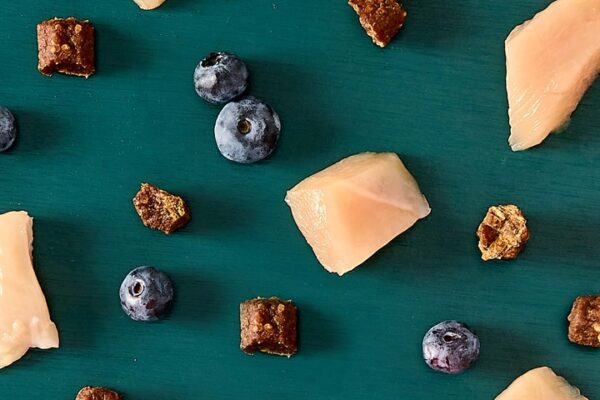 Tribal Trainers Chicken with Quinoa & Blueberry Dog Treats 80g ingredients