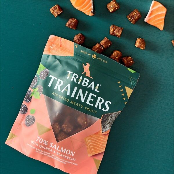 Tribal Trainers Salmon with Quinoa & Blackberry Dog Treats 80g