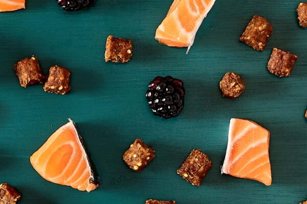 Tribal Trainers Salmon with Quinoa & Blackberry Dog Treats 80g ingredients