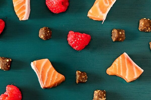 Tribal Trainers Trout with Quinoa & Rasberry Dog Treats ingredients