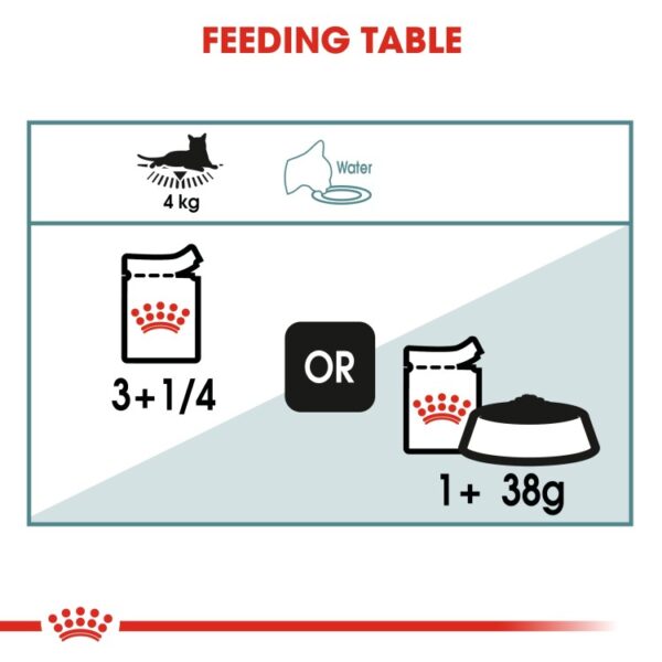 Royal Canin Feline Care Nutrition Hairball Gravy Cat Wet Food feeding table