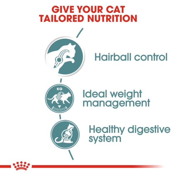 Royal Canin Feline Care Nutrition Hairball Gravy Cat Wet Food nutrition
